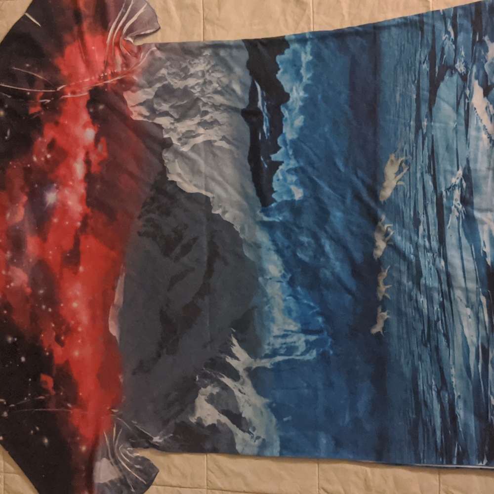 Galactic/Arctic graphics tee - Picture 5 of 5